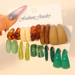 premium acetate & resin earings