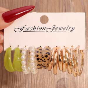 premium acetate & resin earings