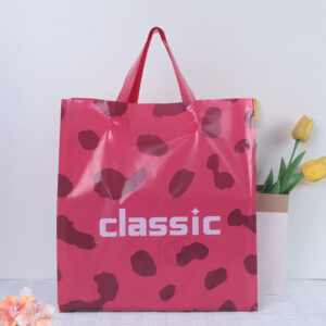 boutique shopping bags for clothing & lingerie (复制)