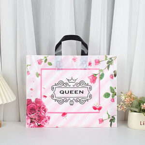 boutique shopping bags for clothing & lingerie (复制)