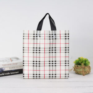 boutique shopping bags for clothing & lingerie (复制)