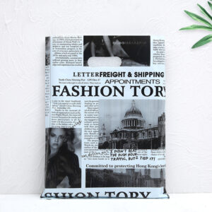 boutique shopping bags for clothing & lingerie (复制)