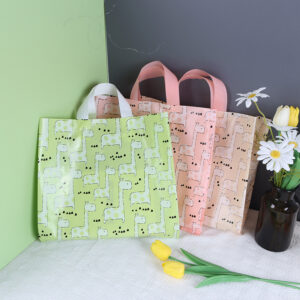 boutique shopping bags for clothing & lingerie (复制)