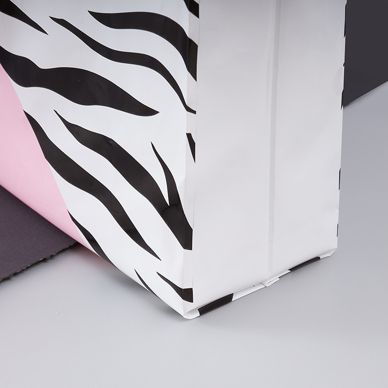 Boutique Shopping Bags for Clothing & Lingerie 2 boutique shopping bags for clothing & lingerie (复制)