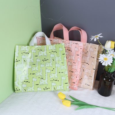 boutique shopping bags for clothing & lingerie (复制)